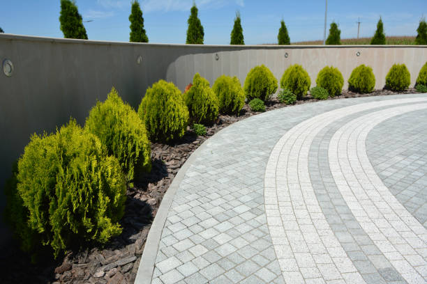 Best Professional Driveway Pavers  in Columbia, KY